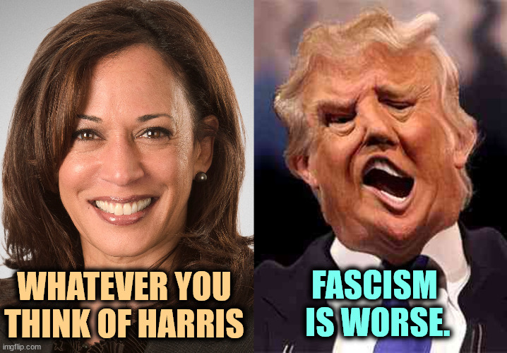 Fascism is worse. | FASCISM 
IS WORSE. WHATEVER YOU THINK OF HARRIS | image tagged in kamala harris sane donald trump crazy on acid,kamala harris,sane,trump,mental illness,dementia | made w/ Imgflip meme maker