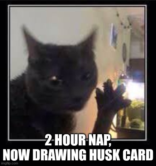 Dabloons Cat | 2 HOUR NAP, NOW DRAWING HUSK CARD | image tagged in dabloons cat | made w/ Imgflip meme maker