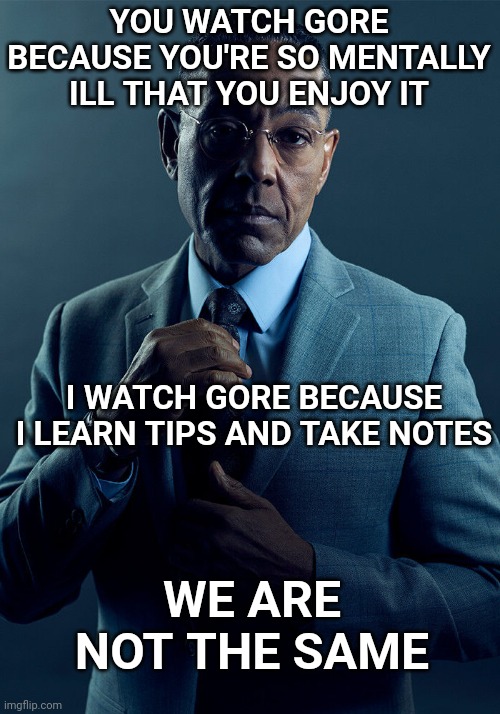 Gus Fring we are not the same | YOU WATCH GORE BECAUSE YOU'RE SO MENTALLY ILL THAT YOU ENJOY IT; I WATCH GORE BECAUSE I LEARN TIPS AND TAKE NOTES; WE ARE NOT THE SAME | image tagged in gus fring we are not the same | made w/ Imgflip meme maker