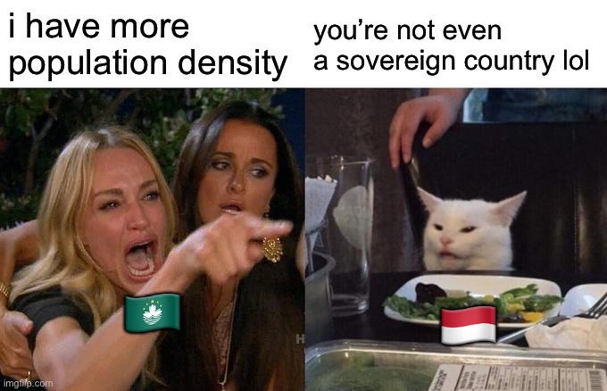 Woman Yelling At Cat Meme | i have more population density you’re not even a sovereign country lol ?? ?? | image tagged in memes,woman yelling at cat | made w/ Imgflip meme maker