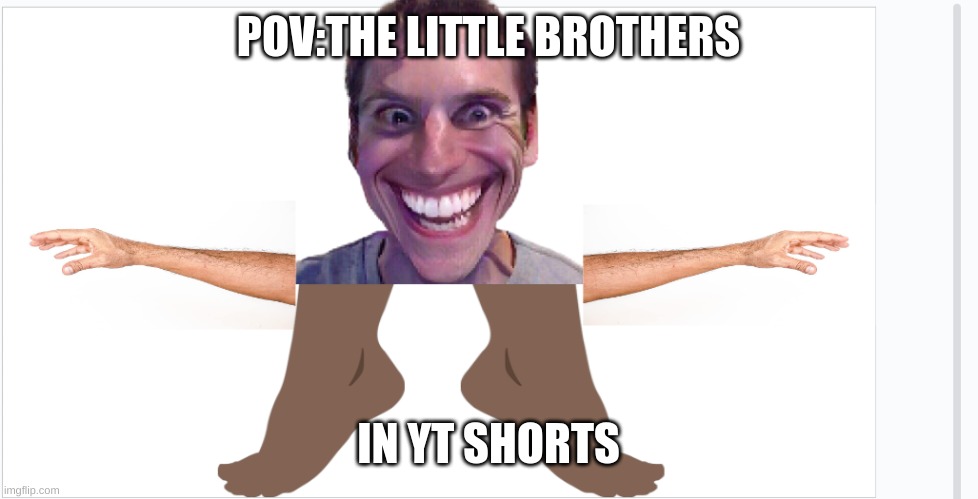 realistic | POV:THE LITTLE BROTHERS; IN YT SHORTS | image tagged in dreamed | made w/ Imgflip meme maker