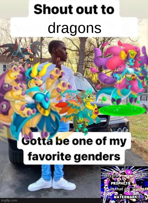 gotta be one of my favorite genders | dragons | image tagged in gotta be one of my favorite genders | made w/ Imgflip meme maker
