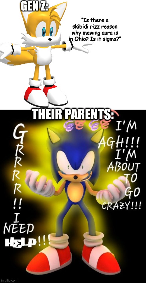 plees dont ban me Im a 5 yeer old | GEN Z:; “Is there a skibidi rizz reason why mewing aura is in Ohio? Is it sigma?”; THEIR PARENTS: | image tagged in crazy | made w/ Imgflip meme maker