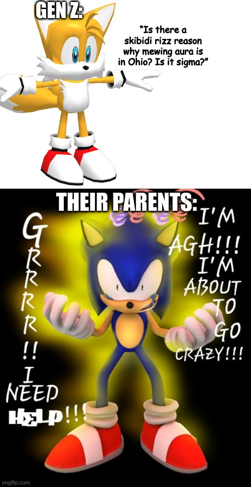 and gen alpha | GEN Z:; “Is there a skibidi rizz reason why mewing aura is in Ohio? Is it sigma?”; THEIR PARENTS: | image tagged in sonic,brainrot | made w/ Imgflip meme maker