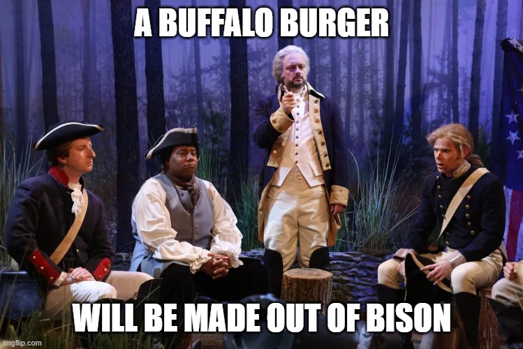 Bison Burger | A BUFFALO BURGER; WILL BE MADE OUT OF BISON | image tagged in washington's dream | made w/ Imgflip meme maker