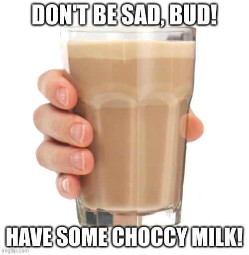 Choccy Milk | DON'T BE SAD, BUD! HAVE SOME CHOCCY MILK! | image tagged in choccy milk | made w/ Imgflip meme maker