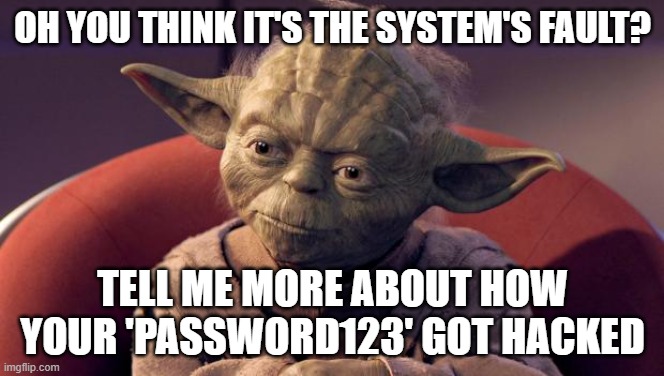 Yoda Wisdom | OH YOU THINK IT'S THE SYSTEM'S FAULT? TELL ME MORE ABOUT HOW YOUR 'PASSWORD123' GOT HACKED | image tagged in yoda wisdom | made w/ Imgflip meme maker