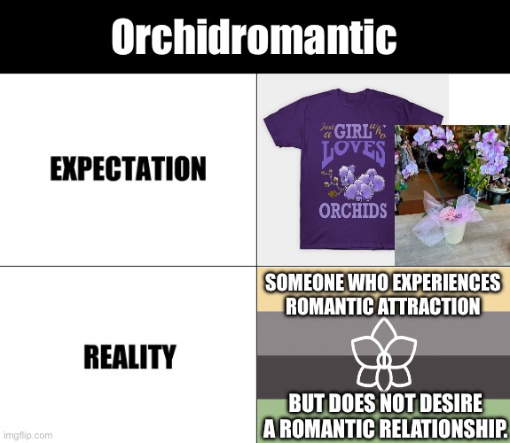 Orchidromantic: expectation vs reality | Orchidromantic; SOMEONE WHO EXPERIENCES ROMANTIC ATTRACTION; BUT DOES NOT DESIRE A ROMANTIC RELATIONSHIP. | image tagged in expectation vs reality,lgbtq,romantic orientation,romantic orientations,orchidromantic,aromantic | made w/ Imgflip meme maker