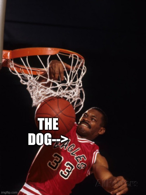 slam dunk | THE DOG--> | image tagged in slam dunk | made w/ Imgflip meme maker