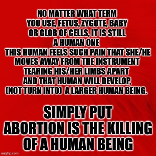 abortion is the killing of a human being | NO MATTER WHAT TERM YOU USE, FETUS, ZYGOTE, BABY OR GLOB OF CELLS, IT IS STILL A HUMAN ONE 
 THIS HUMAN FEELS SUCH PAIN THAT SHE/HE MOVES AWAY FROM THE INSTRUMENT TEARING HIS/HER LIMBS APART 
AND THAT HUMAN WILL DEVELOP, (NOT TURN INTO)  A LARGER HUMAN BEING. SIMPLY PUT ABORTION IS THE KILLING OF A HUMAN BEING | made w/ Imgflip meme maker