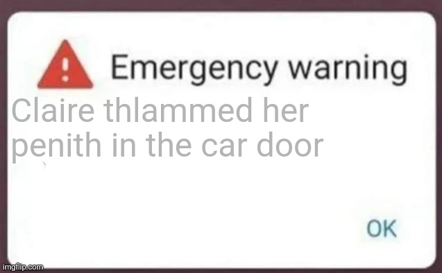 Emergency Warning | Claire thlammed her penith in the car door | image tagged in emergency warning | made w/ Imgflip meme maker