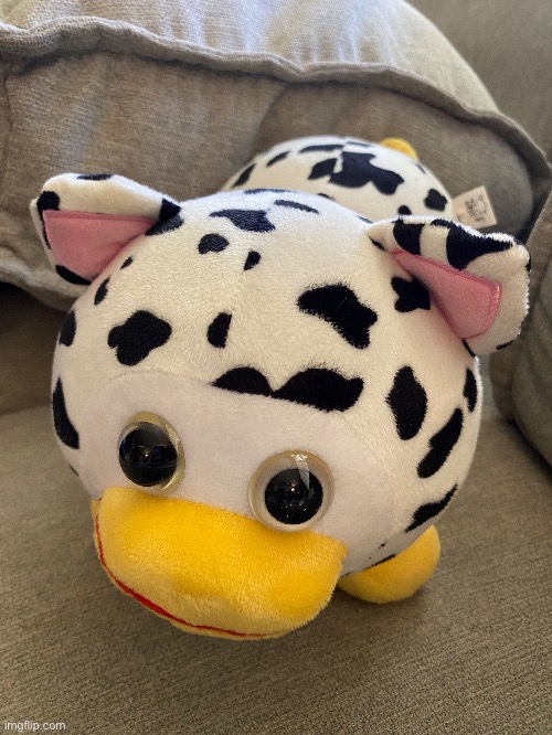 ist bigpy | made w/ Imgflip meme maker