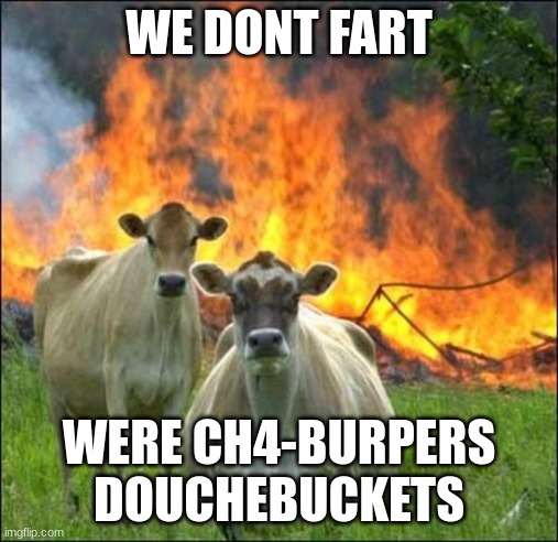 WE DONT FART WERE CH4-BURPERS DOUCHEBUCKETS | image tagged in memes,evil cows | made w/ Imgflip meme maker