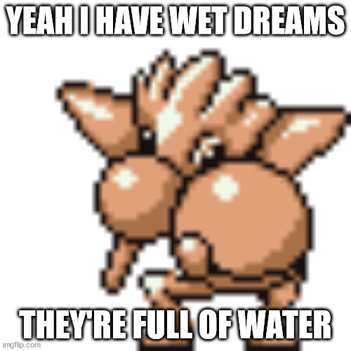 interpret this | YEAH I HAVE WET DREAMS; THEY'RE FULL OF WATER | image tagged in interpret this | made w/ Imgflip meme maker