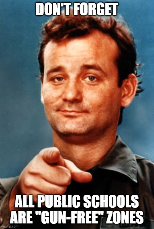 Pointing Bill Murray | DON'T FORGET ALL PUBLIC SCHOOLS ARE "GUN-FREE" ZONES | image tagged in pointing bill murray | made w/ Imgflip meme maker