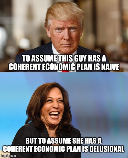 Trump may not sound like he has a coherent plan but Kamala is even less hope for a coherent plan | TO ASSUME THIS GUY HAS A COHERENT ECONOMIC PLAN IS NAIVE; BUT TO ASSUME SHE HAS A COHERENT ECONOMIC PLAN IS DELUSIONAL | image tagged in kamala harris laughing,donald trump,democrats,stupid liberals,incompetence | made w/ Imgflip meme maker