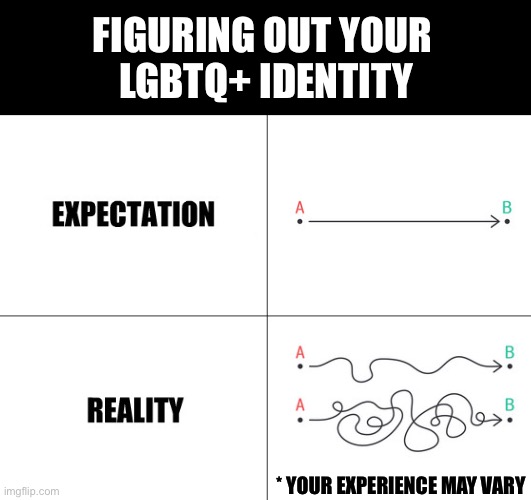 Figuring out your LGBTQ+ identity: expectation vs reality | FIGURING OUT YOUR 
LGBTQ+ IDENTITY; * YOUR EXPERIENCE MAY VARY | image tagged in expectation vs reality,lgbtq,gender,romantic orientation,sexual orientation,identity | made w/ Imgflip meme maker