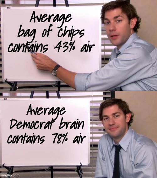 Any dumber and they'll float away | Average bag of chips contains 43% air; Average Democrat brain contains 78% air | image tagged in jim halpert explains,same thing,different day,why doesn't it get better,insanity,definition | made w/ Imgflip meme maker