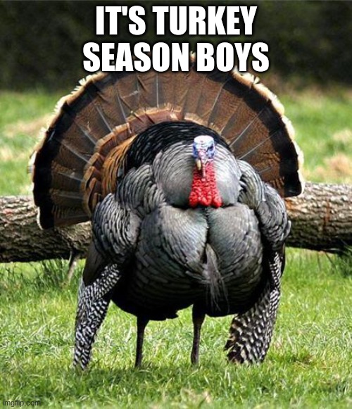 Spooky vs. Thanks | IT'S TURKEY SEASON BOYS | image tagged in thanksgiving day | made w/ Imgflip meme maker