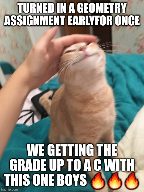:3 | TURNED IN A GEOMETRY ASSIGNMENT EARLYFOR ONCE; WE GETTING THE GRADE UP TO A C WITH THIS ONE BOYS 🔥🔥🔥 | image tagged in cat pat | made w/ Imgflip meme maker