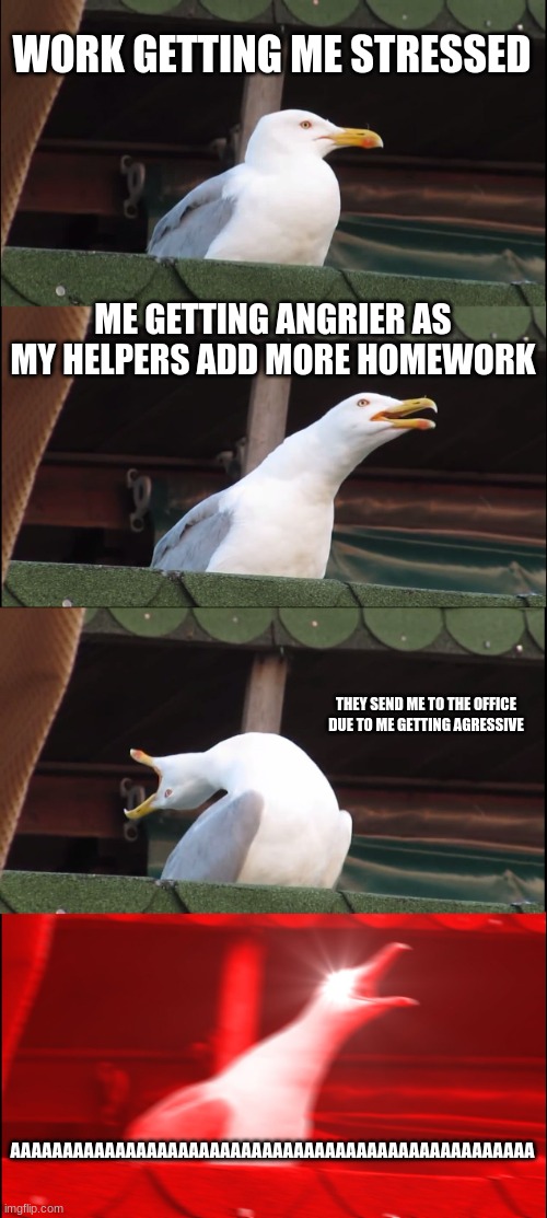 Anger Issues | WORK GETTING ME STRESSED; ME GETTING ANGRIER AS MY HELPERS ADD MORE HOMEWORK; THEY SEND ME TO THE OFFICE DUE TO ME GETTING AGRESSIVE; AAAAAAAAAAAAAAAAAAAAAAAAAAAAAAAAAAAAAAAAAAAAAAAAAA | image tagged in memes,inhaling seagull | made w/ Imgflip meme maker