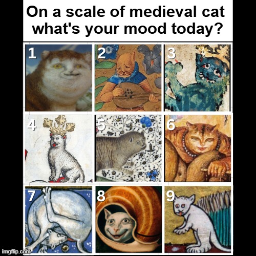 Medieval Cats Mood | On a scale of medieval cat 
what's your mood today? | image tagged in medieval cats | made w/ Imgflip meme maker