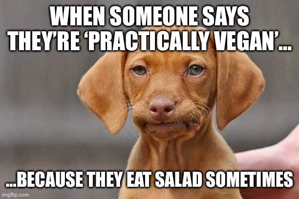 So close, yet so far. | WHEN SOMEONE SAYS THEY’RE ‘PRACTICALLY VEGAN’…; …BECAUSE THEY EAT SALAD SOMETIMES | image tagged in dissapointed puppy,puppy,funny,funny memes | made w/ Imgflip meme maker