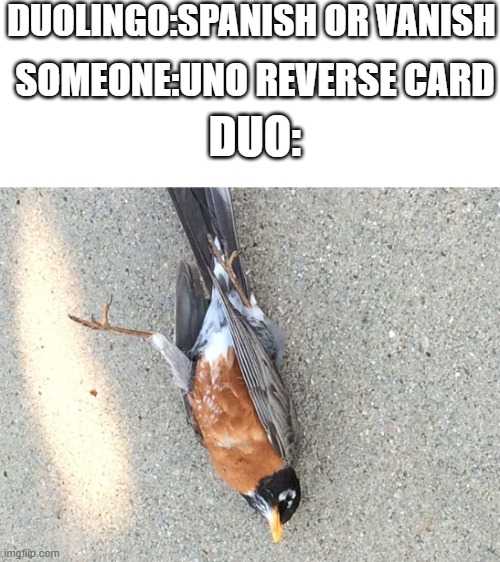 Uno Reverse Card | DUOLINGO:SPANISH OR VANISH; SOMEONE:UNO REVERSE CARD; DUO: | image tagged in dead bird | made w/ Imgflip meme maker