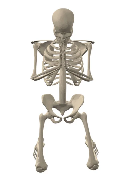 Praying skeleton Blank Meme Template