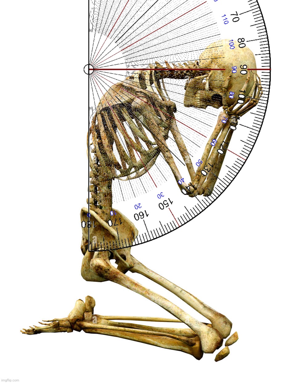 Oh no skeleton | image tagged in oh no skeleton | made w/ Imgflip meme maker