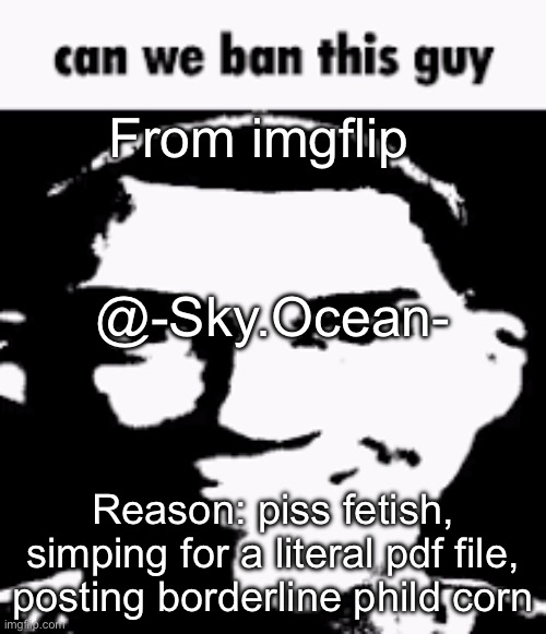 Can we ban this guy | From imgflip; @-Sky.Ocean-; Reason: piss fetish, simping for a literal pdf file, posting borderline phild corn | image tagged in can we ban this guy | made w/ Imgflip meme maker