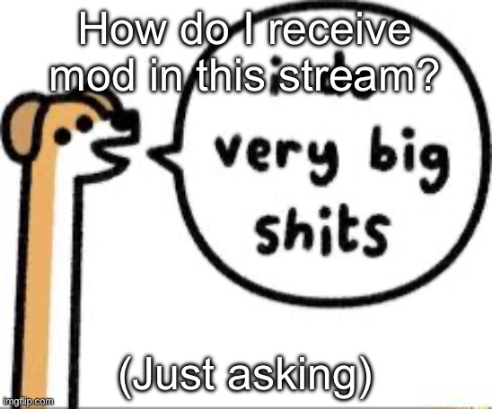 I do very big shits | How do I receive mod in this stream? (Just asking) | image tagged in i do very big shits | made w/ Imgflip meme maker