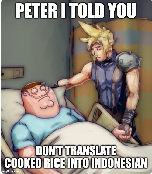 PETER I TOLD YOU | PETER I TOLD YOU; DON'T TRANSLATE COOKED RICE INTO INDONESIAN | image tagged in peter i told you | made w/ Imgflip meme maker