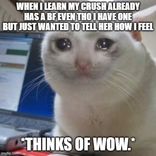 Crying cat | WHEN I LEARN MY CRUSH ALREADY HAS A BF EVEN THO I HAVE ONE BUT JUST WANTED TO TELL HER HOW I FEEL; *THINKS OF WOW.* | image tagged in crying cat | made w/ Imgflip meme maker