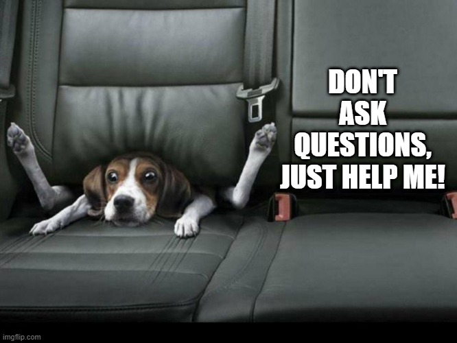 Stuck Dog | DON'T ASK QUESTIONS, JUST HELP ME! | image tagged in dogs | made w/ Imgflip meme maker