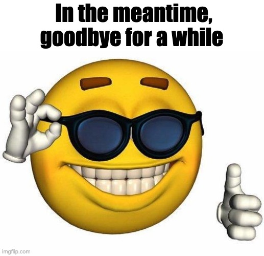 Thumbs Up Emoji | In the meantime, goodbye for a while | image tagged in thumbs up emoji | made w/ Imgflip meme maker