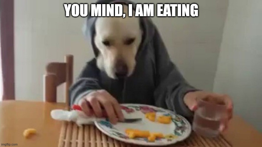 Dining Dog | YOU MIND, I AM EATING | image tagged in dogs | made w/ Imgflip meme maker