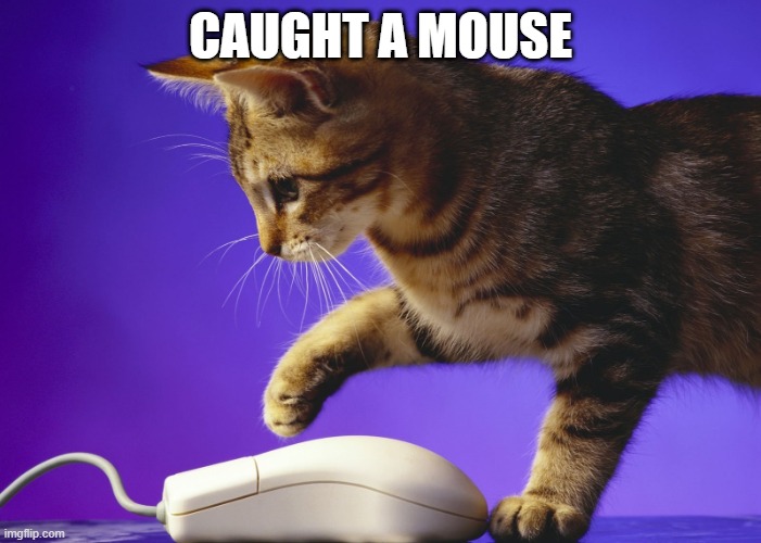 Cat n Mouse | CAUGHT A MOUSE | image tagged in cats | made w/ Imgflip meme maker