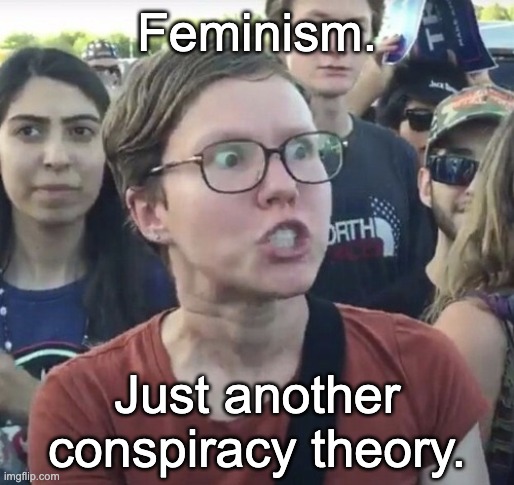 Triggered feminist | Feminism. Just another conspiracy theory. | image tagged in triggered feminist | made w/ Imgflip meme maker