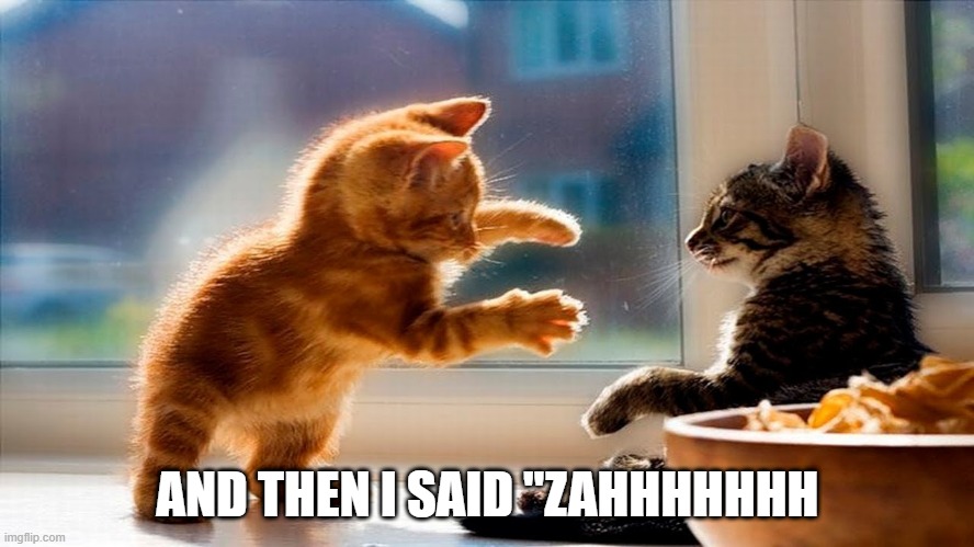 Cat Scare | AND THEN I SAID "ZAHHHHHHH | image tagged in cats | made w/ Imgflip meme maker