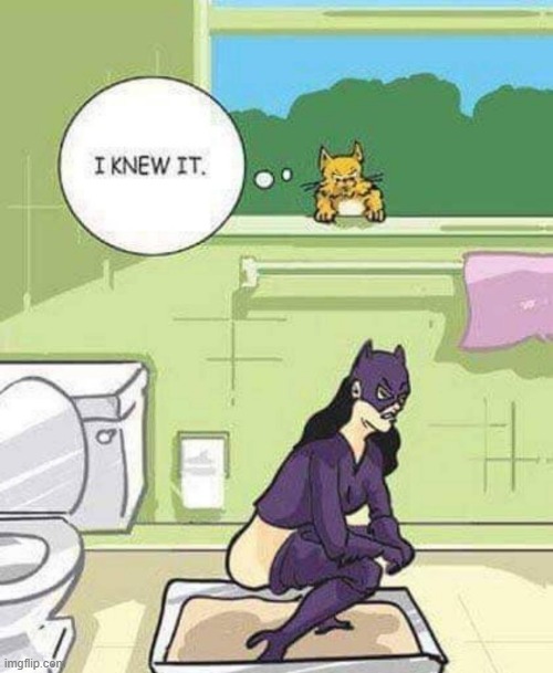 Catwoman: Caught | image tagged in catwoman | made w/ Imgflip meme maker