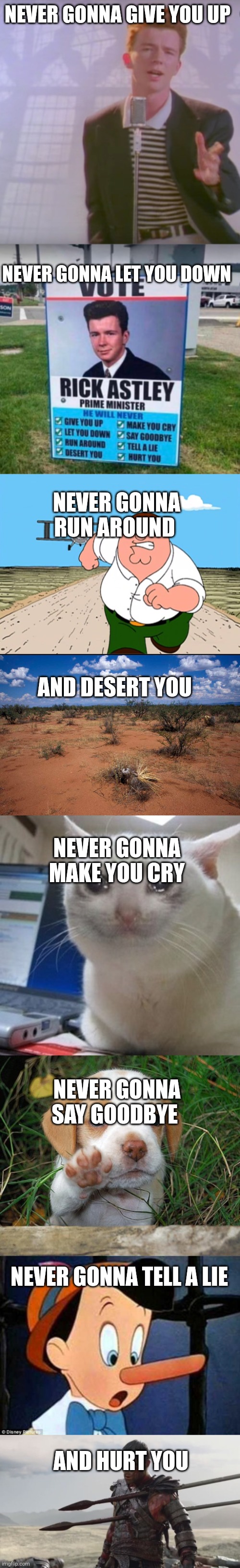 NEVER GONNA GIVE YOU UP; NEVER GONNA LET YOU DOWN; NEVER GONNA RUN AROUND; AND DESERT YOU; NEVER GONNA MAKE YOU CRY; NEVER GONNA SAY GOODBYE; NEVER GONNA TELL A LIE; AND HURT YOU | image tagged in rick astly,vote rick astley,peter griffin running away,dessert,crying cat,dog puppy bye | made w/ Imgflip meme maker