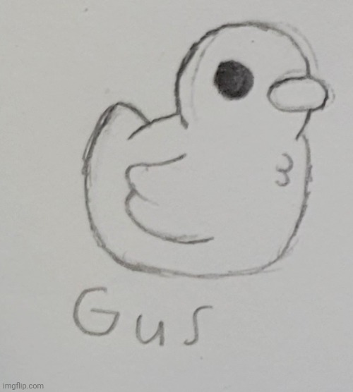 Gus The Duck | image tagged in gus the duck | made w/ Imgflip meme maker