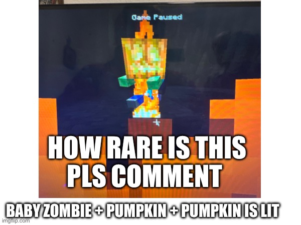 I need Help | HOW RARE IS THIS
PLS COMMENT; BABY ZOMBIE + PUMPKIN + PUMPKIN IS LIT | image tagged in minecraft,funny,memes,rare,zombie | made w/ Imgflip meme maker