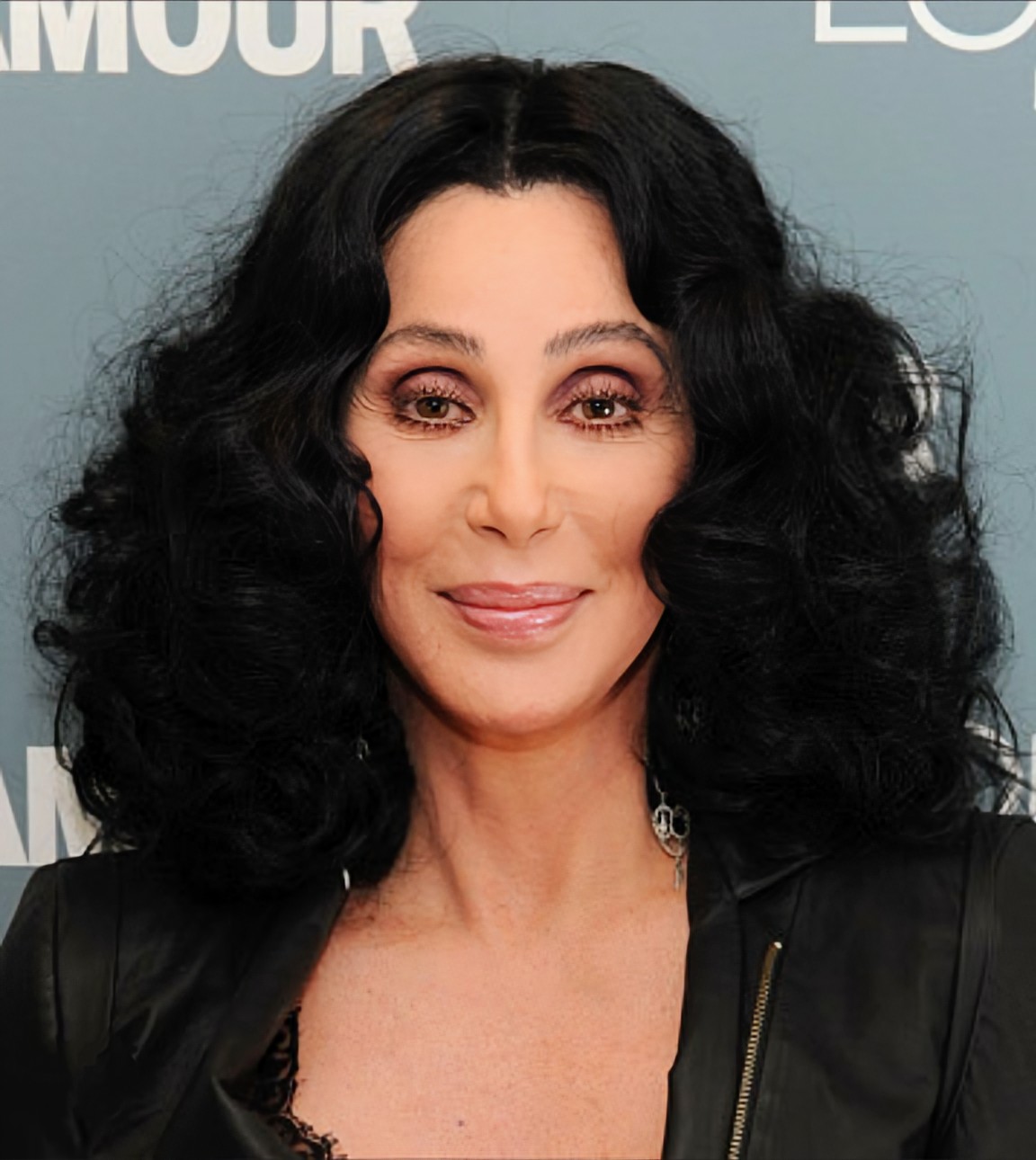 Just Cher Blank Meme Template