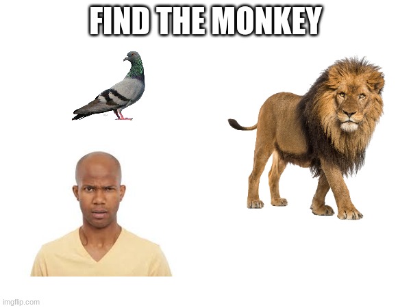 FIND THE MONKEY | made w/ Imgflip meme maker