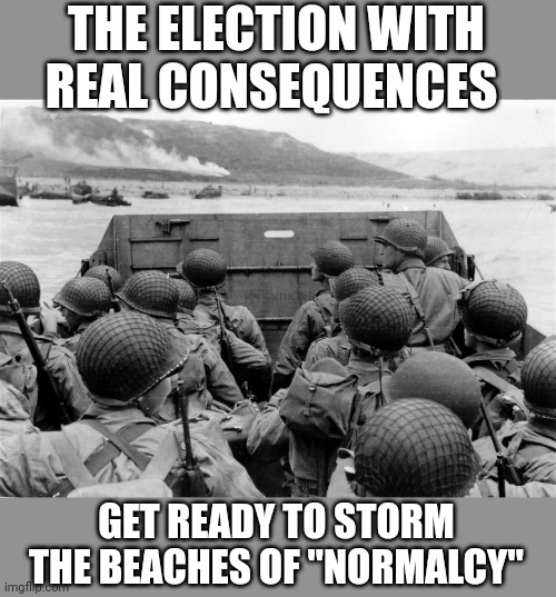 TRUMP 2024 | THE ELECTION WITH REAL CONSEQUENCES; GET READY TO STORM THE BEACHES OF "NORMALCY" | image tagged in normandy omaha beach | made w/ Imgflip meme maker