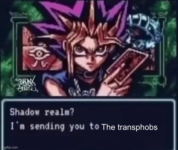 Shadow Realm? | The transphobs | image tagged in shadow realm | made w/ Imgflip meme maker