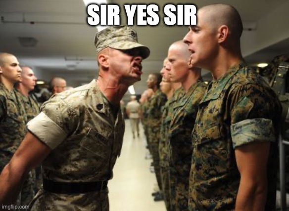 sir yes sir | SIR YES SIR | image tagged in sir yes sir | made w/ Imgflip meme maker