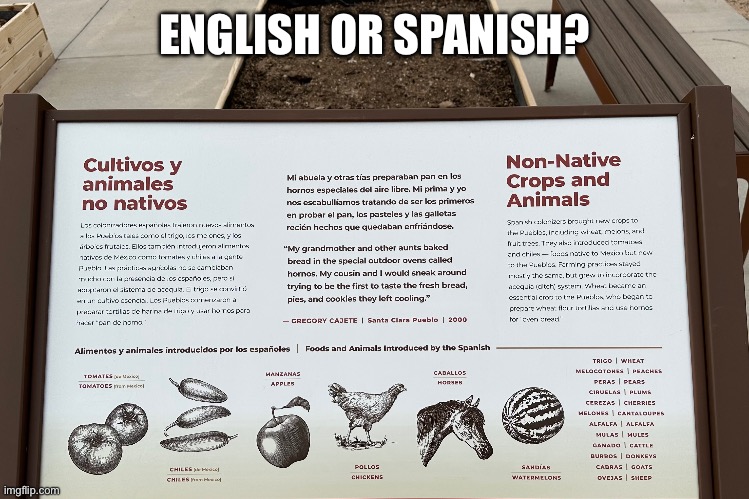 You’re good to go either way | ENGLISH OR SPANISH? | image tagged in english,spanish | made w/ Imgflip meme maker